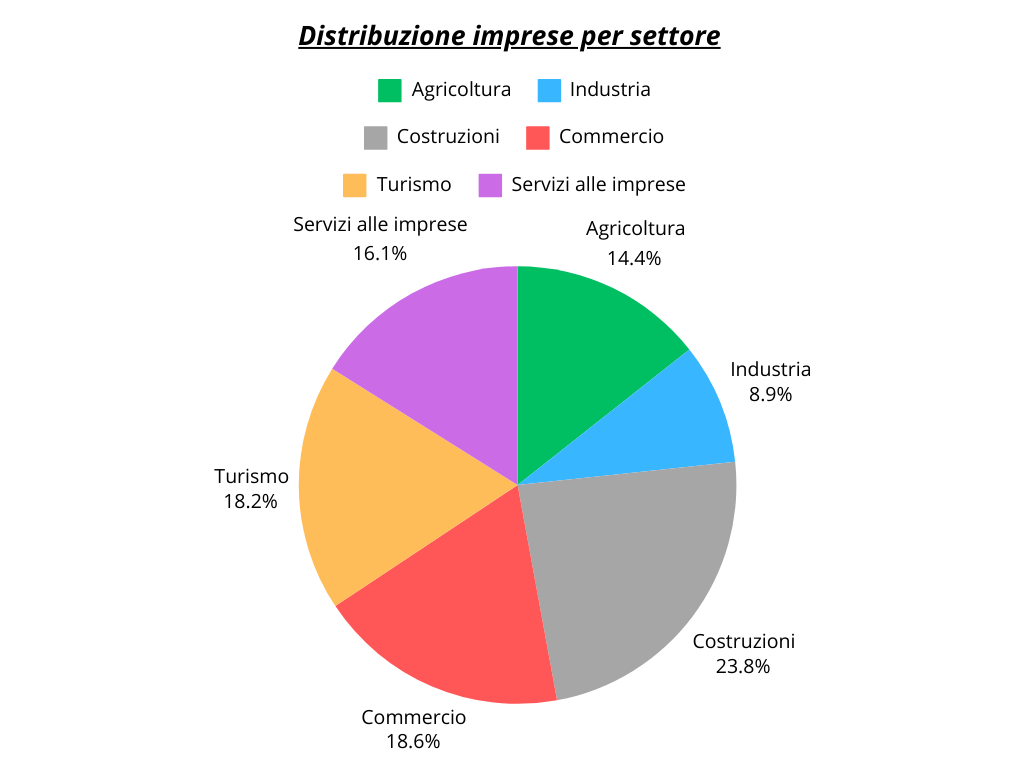 Distribuzione imprese per settore