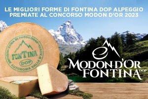 Concorso 2023 Modon d'Or Fontina DOP Alpeggio 