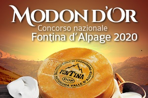 MODON D'OR 2020