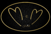 M. e M. Gioielli di De Matteis Morena logo