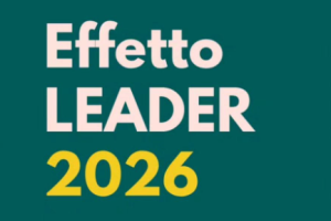 Effetto Leader - Gal Vda