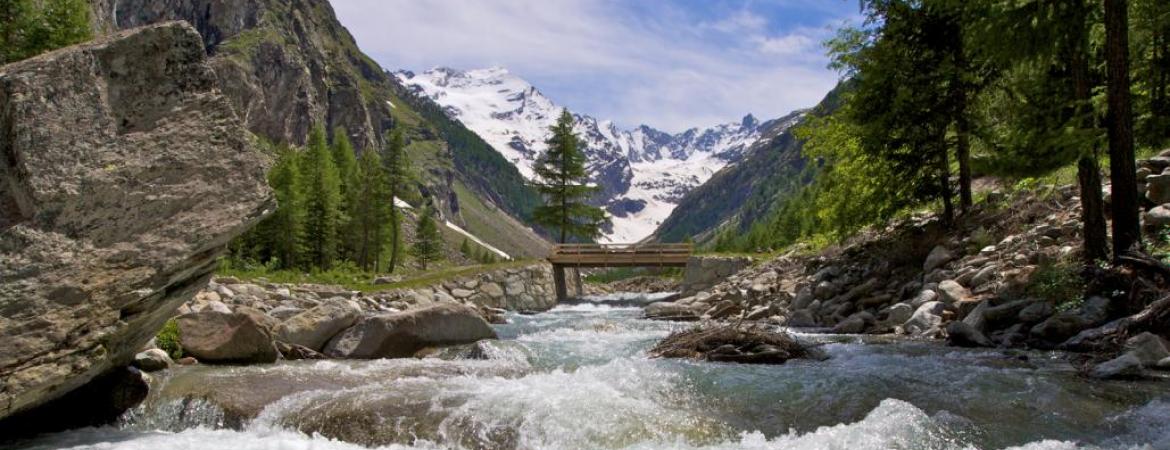 Altura TRUITE FUMEE DES ALPES