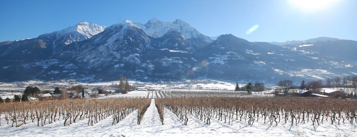 Azienda agricola Rosset S.S.