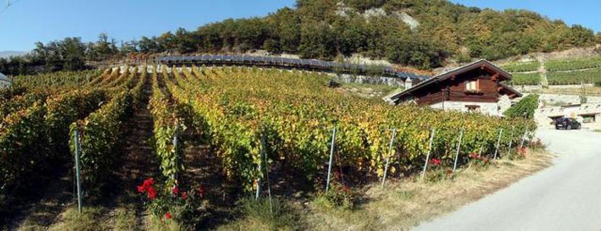 La Vrille di Hervé Daniel Deguillame