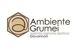 Azienda agricola Ambiente Grumei logo