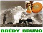 Bredy Bruno logo