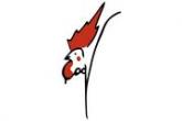Coquillard Dario logo