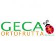 Geca Ortofrutta S.S. Agricola logo